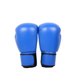 Boxing Training Gloves