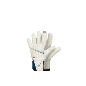 Goalkeeper Gloves